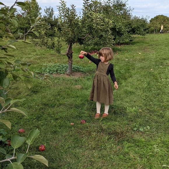 Simple Folk Corduroy Pinafore Apron Dress Olive Fall Autumn 4/5Y Khaki Heirloom - Picture 2 of 13